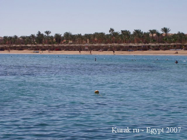 побережье красного моря