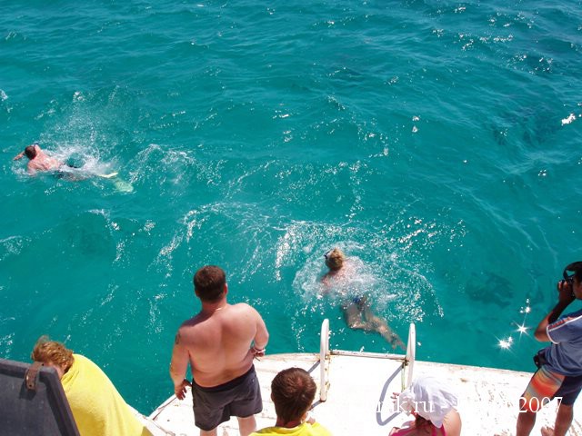 красное море морская прогулка
